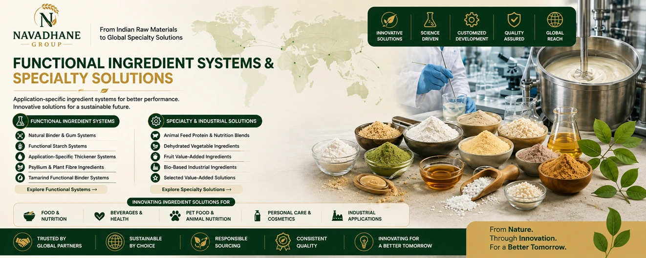 Navadhane Group — Functional Ingredient Systems and Specialty Solutions