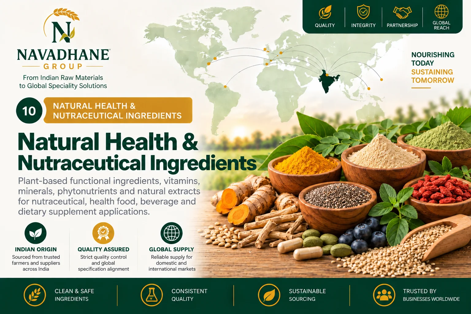 Natural Health & Nutraceutical Ingredients — Navadhane Group India supplier
