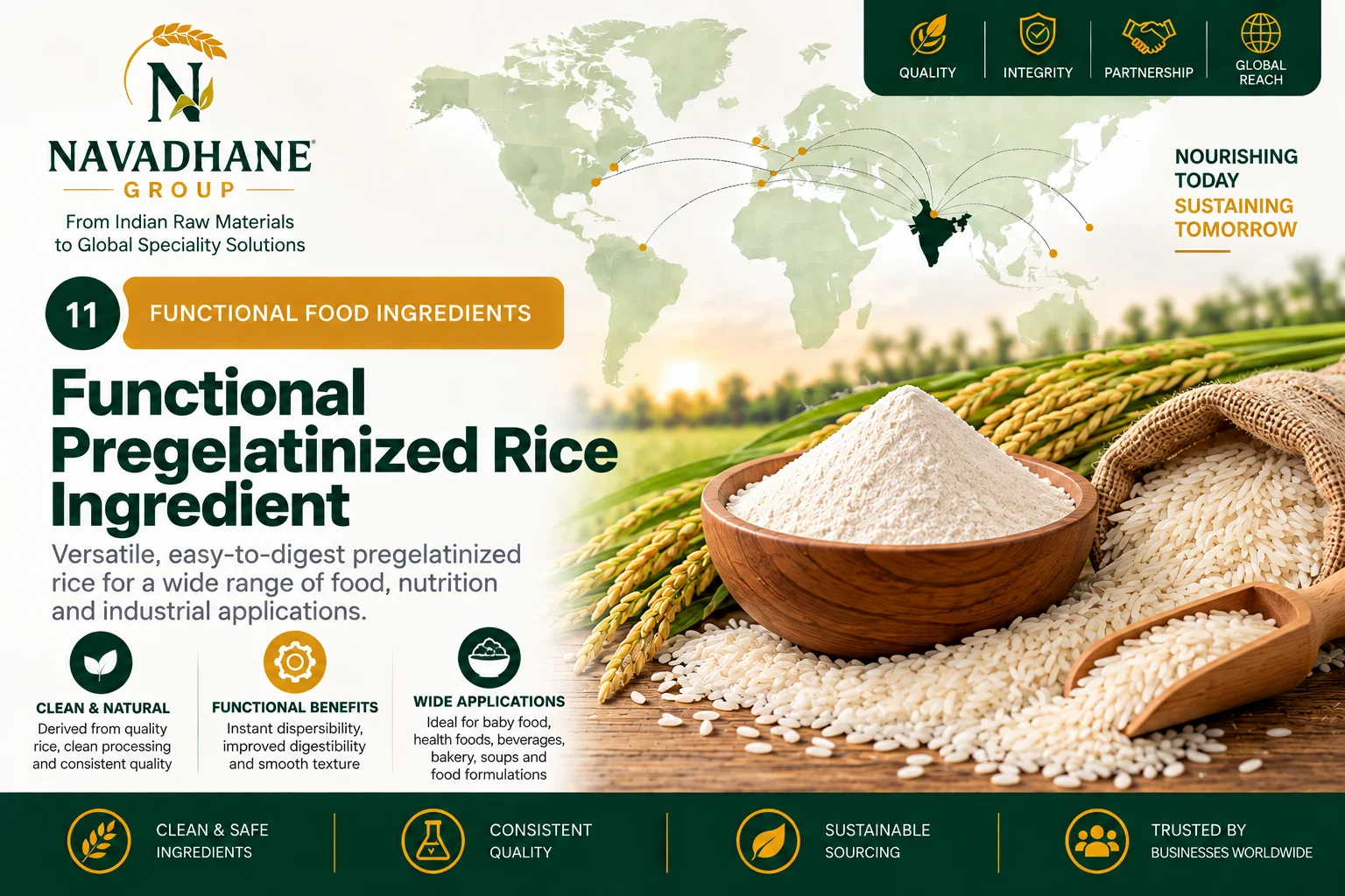 Functional Pregelatinized Rice Ingredient — Navadhane Group India supplier