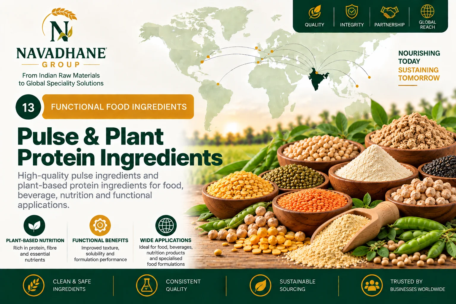 Pulse & Plant Protein Ingredients — Navadhane Group India supplier