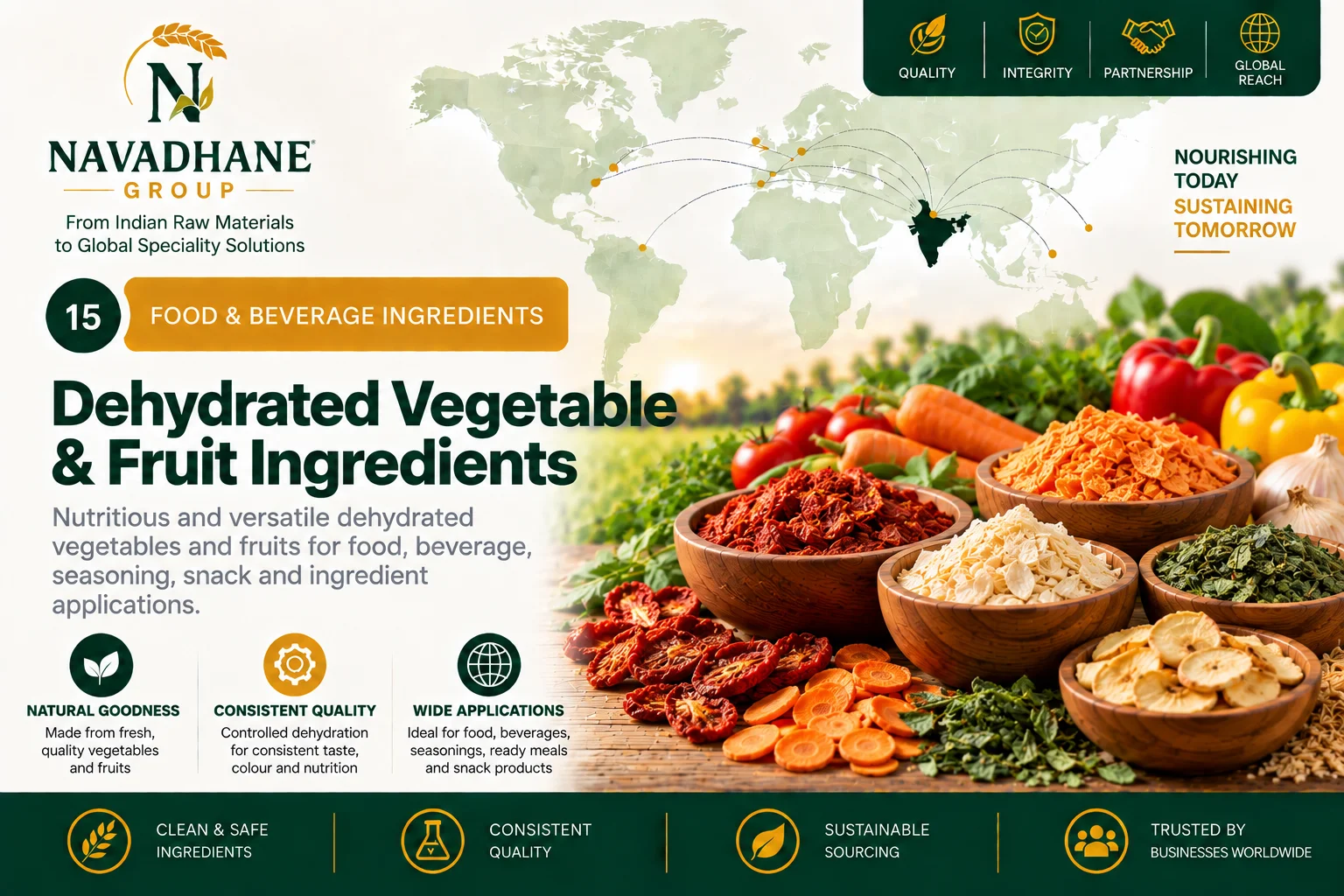 Dehydrated Vegetable & Fruit Ingredients — Navadhane Group India supplier
