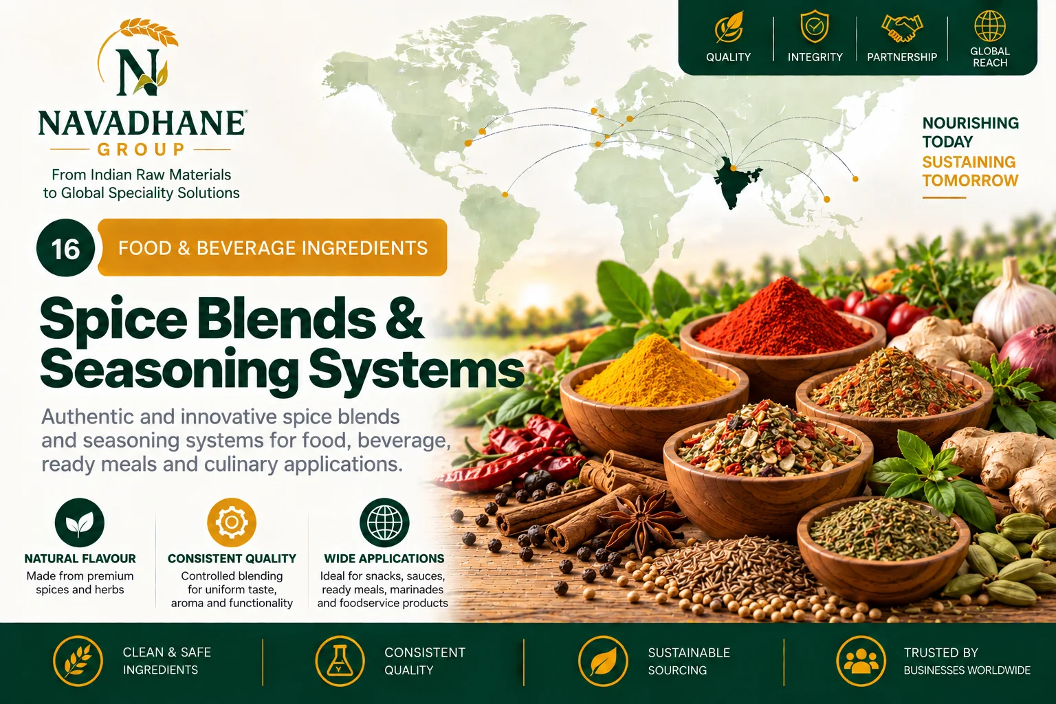 Spice Blends & Seasoning Systems — Navadhane Group India supplier