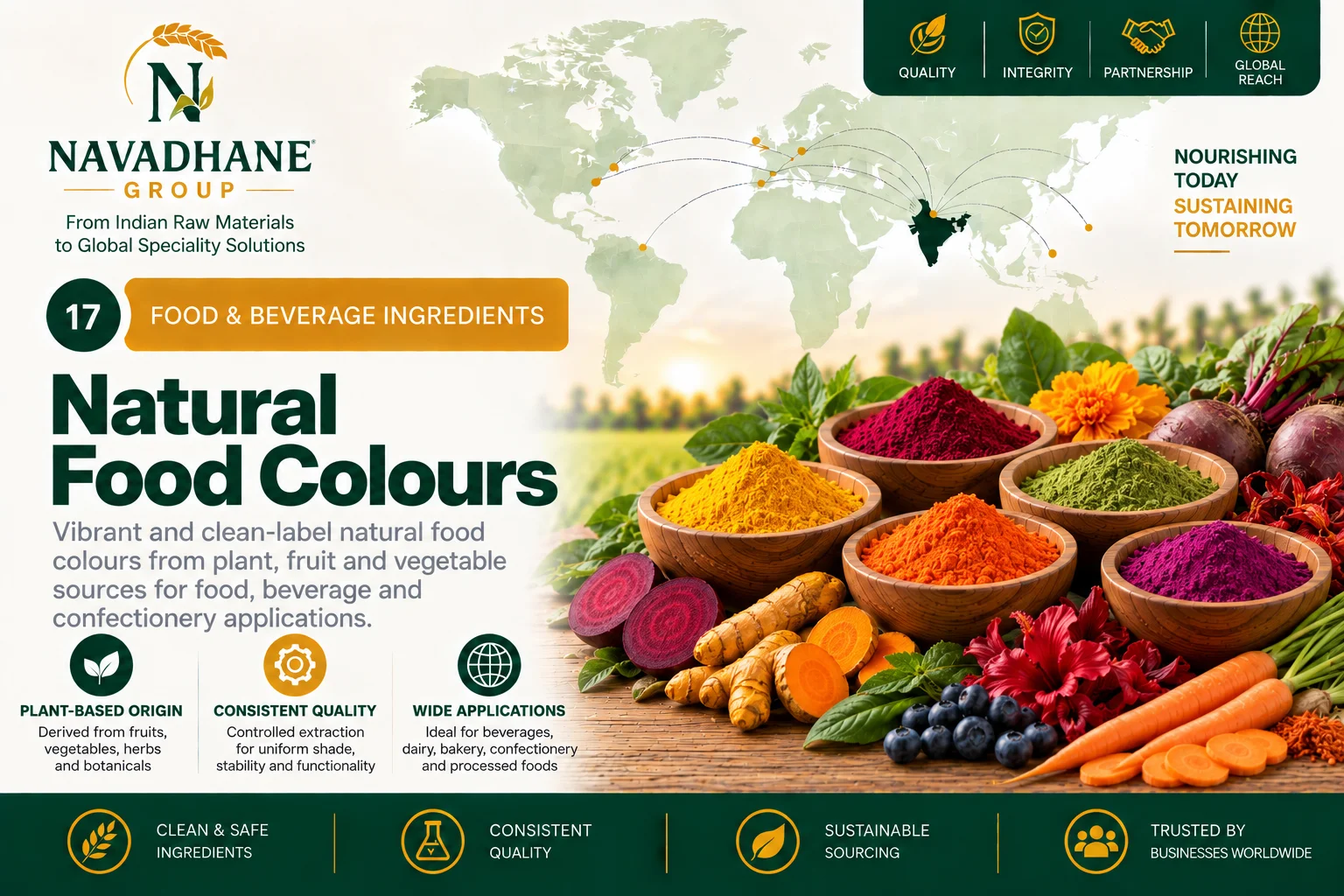 Natural Food Colours — Navadhane Group India supplier