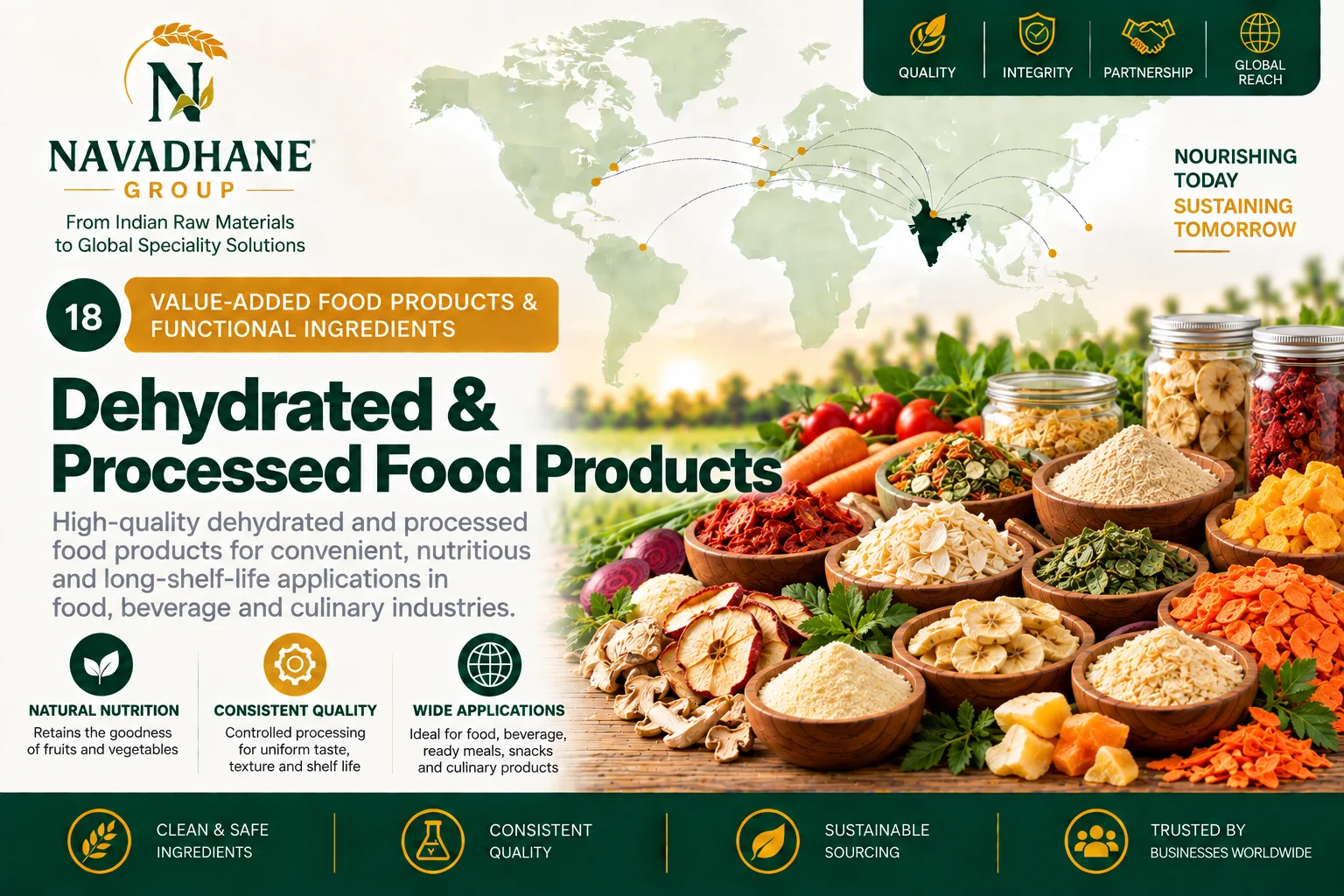Dehydrated & Processed Food Products — Navadhane Group India supplier