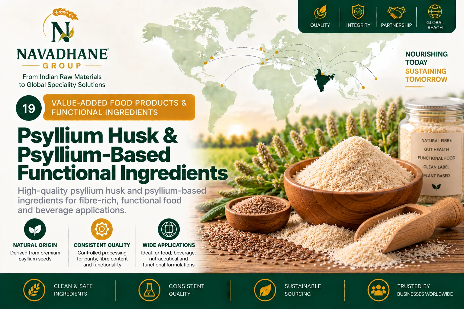 Psyllium Husk & Psyllium-Based Functional Ingredients — Navadhane Group India supplier