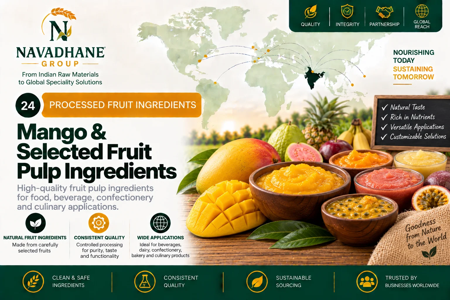 Mango & Selected Fruit Pulp Ingredients — Navadhane Group India supplier