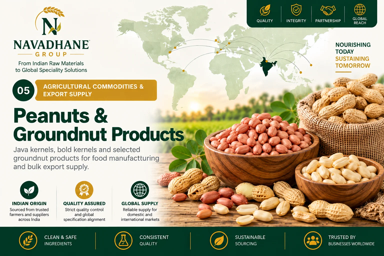 Peanuts & Groundnut Products — Navadhane Group India supplier