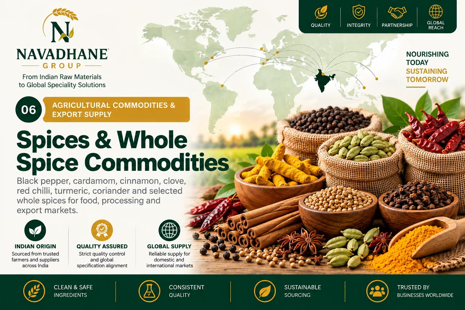 Spices & Whole Spice Commodities — Navadhane Group India supplier