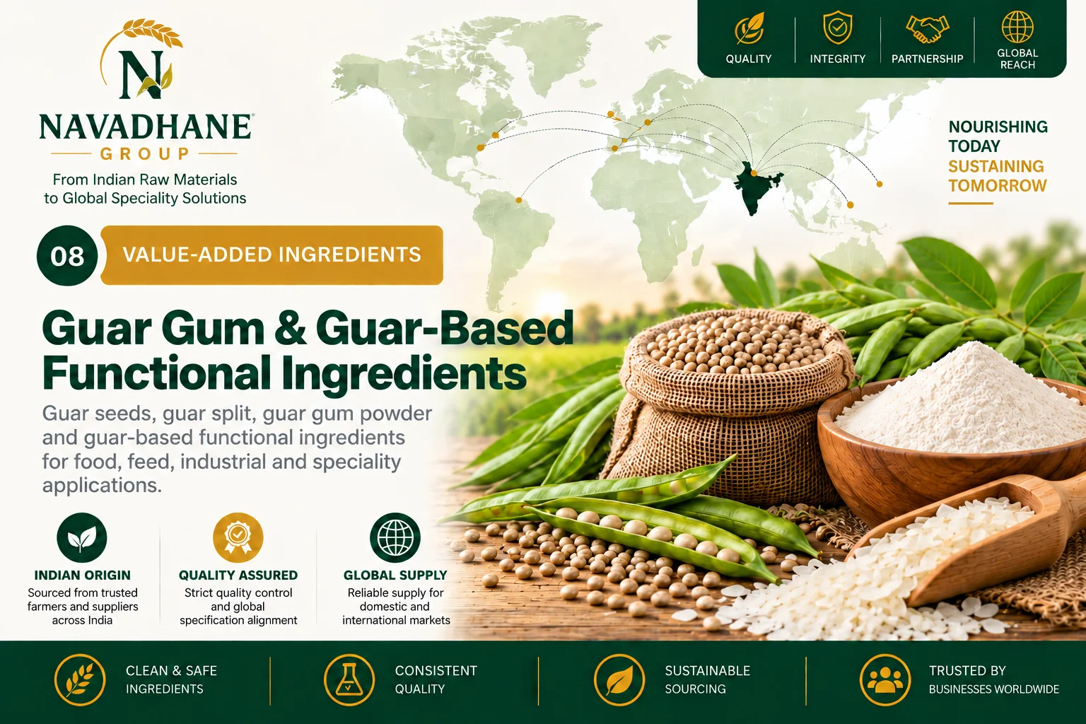 Guar Gum & Guar-Based Functional Ingredients — Navadhane Group India supplier